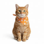 VICTRESS PET BANDANA - Small