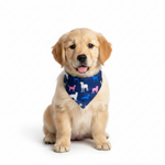 VICTRESS PET BANDANA Medium